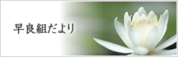 早良組だよりバックナンバー